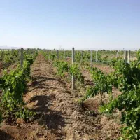 اجرا طرح فراز ،پایه فنس،تیرچه باغی