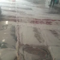 کارخانه قالیشوی و مبل شوی مدرن سادات|خدمات نظافت|فردیس, شهرک سپاه|دیوار