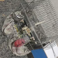 عروس هلندی طوسی خاکستری