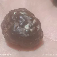 شهاب سنگ|کلکسیون اشیاء عتیقه|کرمانشاه, |دیوار