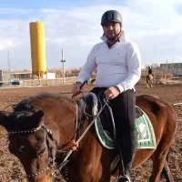 اسب|اسب و تجهیزات اسب‌سواری|کرمان, |دیوار