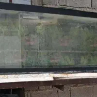 اکواریم بزرگ با پایه