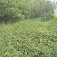 فروش زمین ۱۶۴ متری شهری سند دار تهاتر