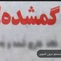 مدارک گمشده