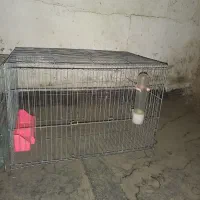 سه عدد قفس پرنده با لوازم سالم نو نو|لوازم جانبی حیوانات|تهران, استخر|دیوار