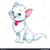 گربه پیدا شده