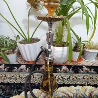 قلیون برنج نو نو