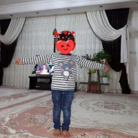 پرده پذیرایی سالم و در حد نو