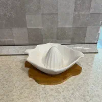 آبلیمو گیر کاملا نو