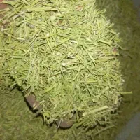 کاه خار