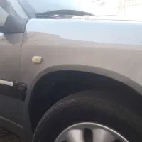 زانتیا زیتونی در حد خشک