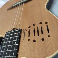 گیتار گودین