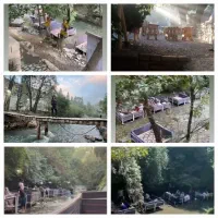 تور یکروزه شاد بانوان در طبیعت