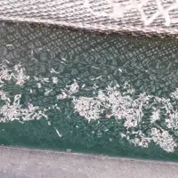 استخدام  نیروی کار ونگهبان