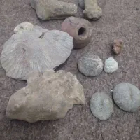 بنام خدا یک سری سنگ دوران عصر سنگی و مس|کلکسیون اشیاء عتیقه|خرم‌آباد, |دیوار