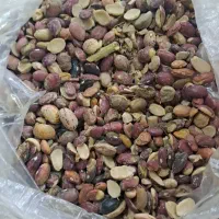 لوبیا دامی و آشی باقیمت مناسب