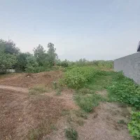 فروش ۳۰۰۰ متر زمین مسکونی قطعه بندی شده در منگوده|فروش زمین و ملک کلنگی|رشت, پیله داربن|دیوار