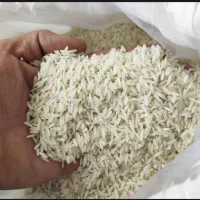 برنج فریدونکنار