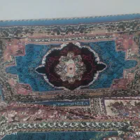 ۶عددپشتی سه میلیون سالم وبدون شکستگی
