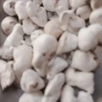 زاغ سوختن