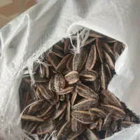 تخمه خوی|عمده‌فروشی|ارس, |دیوار