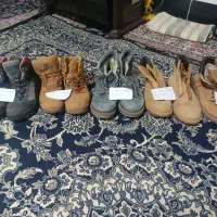 پوتین و نیم پوت