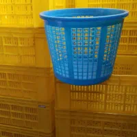 سبد باسکت گالن بشکه پالت وان گلدان مخزن پلاستیکی|عمده‌فروشی|شیراز, سایت اداری|دیوار