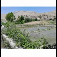 فروش-زمین-برنج-کاری