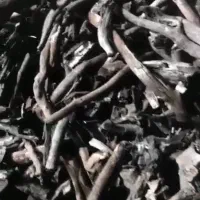 کبابی مرکبات