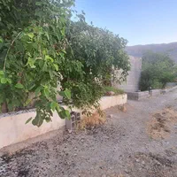 فروش باغ پسته  واقع در روستای مهارلو|فروش دفتر صنعتی، کشاورزی، تجاری|کوهنجان, |دیوار