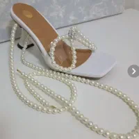 کفش مجلسی