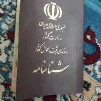 گمشده بنام رقیه جوادی