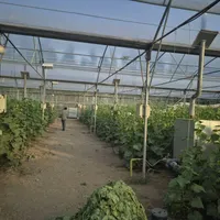 فروش گل خانه در اردبیل کنار اتوبان اردبیل -آستارا|فروش دفتر صنعتی، کشاورزی، تجاری|اردبیل, |دیوار