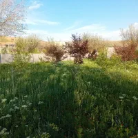 یک قطعه باغ ویلایی