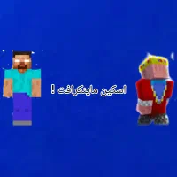 اسکین ماینکرافت ، سفارشی .