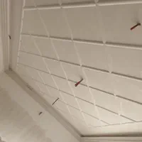 گچکاری ساختمان صفر تا صد تضمینی|خدمات پیشه و مهارت|دلیجان, |دیوار