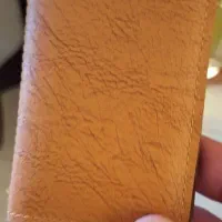 گمشده کیف پول ،کفتر ماشین خانه