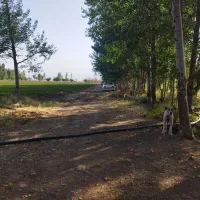 کشاورزی و باغبانی