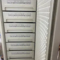 فریزر پارس (پا پنگوئن)