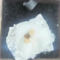 مهرگشایش رزق و روزی