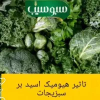 سرگرمی و فراغت|مجلات|سنندج, |دیوار