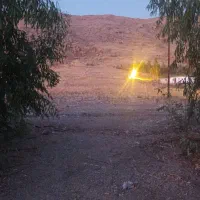 هزارو ۸۸ متر زمین خام|فروش زمین و ملک کلنگی|سرپل ذهاب, |دیوار