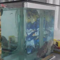 آکواریوم|ماهی|اسلام‌‌آباد غرب, |دیوار