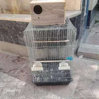 قفس با لانه