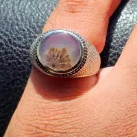 انگشتر فوق کلکسیونی شجر قائن|جواهرات|تهران, آرژانتین|دیوار