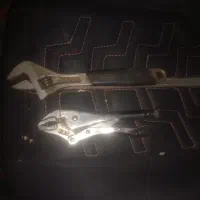 فرانسه کلاغی