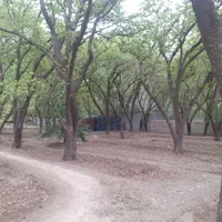فروش ۲۴۶۰ متری در بهاران|فروش دفتر صنعتی، کشاورزی، تجاری|تهران, بهاران|دیوار