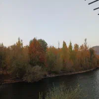 فروش مغازه بازارچه مطهری