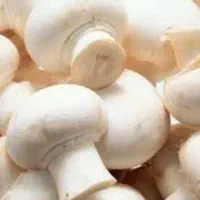 پکیج پرورش قارچ