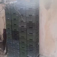 سبدشیر|ظروف نگهدارنده، پلاستیکی، یک‌بارمصرف|همدان, |دیوار